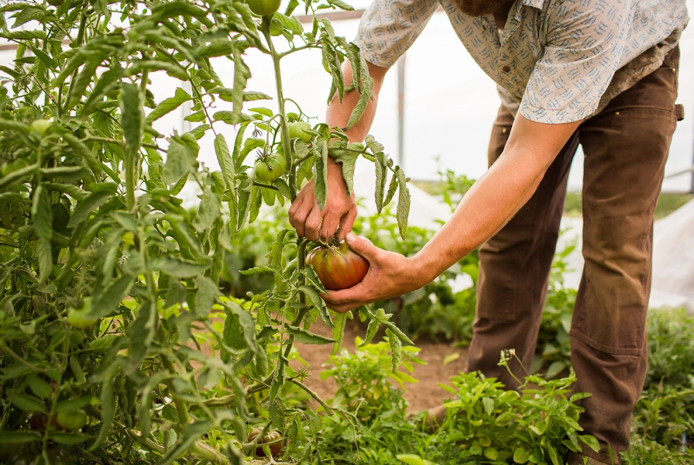 Produkty, které nabízíme, nejsou samostatným cílem. Jsou nástrojem k řešení konkrétních agronomických problémů -  od podpory kořenového systému přes lepší využití dusíku a fosforu až po zvládání stresu porostů.